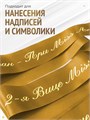 Сатиновая лента 100мм*200м для термотрансферной печати прочная, износостойкая, для наград, выпускных и маркировки. 225